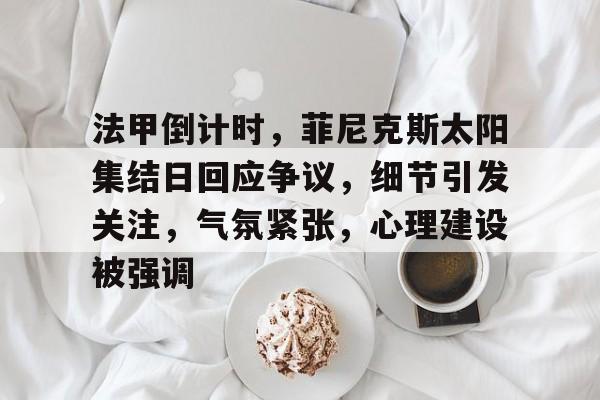 KAIYUN SPORTS法甲倒计时，菲尼克斯太阳集结日回应争议，细节引发关注，气氛紧张，心理建设被强调的简单介绍